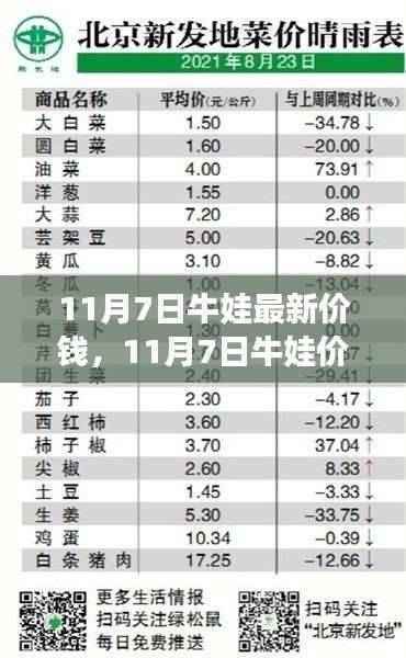 11月7日牛娃行情分析,最新价格及多方观点交织的思考