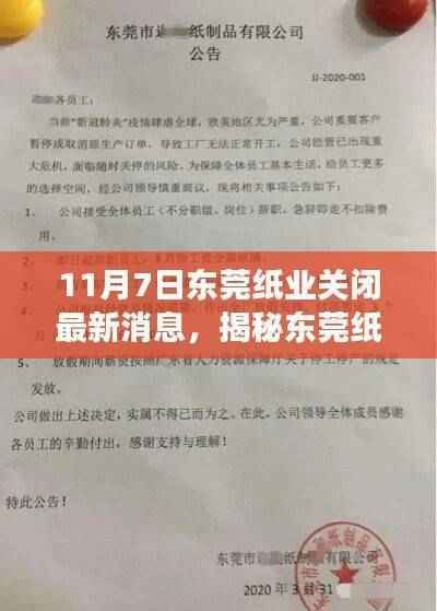 揭秘东莞纸业关闭最新消息,行业震荡与未来展望(11月7日)