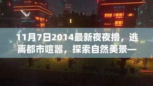 心灵之旅,逃离都市喧嚣,探索自然美景的魅力之夜——2014年11月7日夜夜撸体验