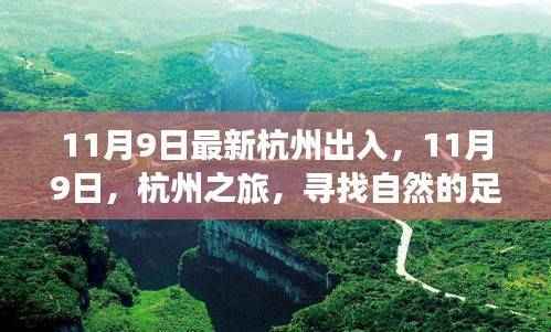 11月9日杭州之行,探寻自然足迹,拥抱内心宁静