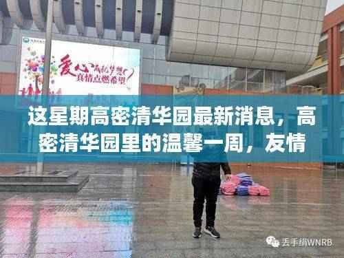 高密清华园,本周友情、趣事与爱的小确幸最新报道