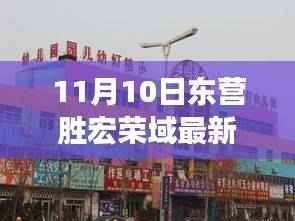 11月10日东营胜宏荣域最新动态详解,掌握最新资讯的指南