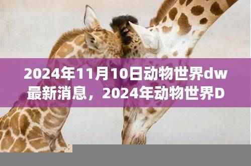 揭秘动物世界DW的最新动态,深度洞察动物世界的未来(2024年)