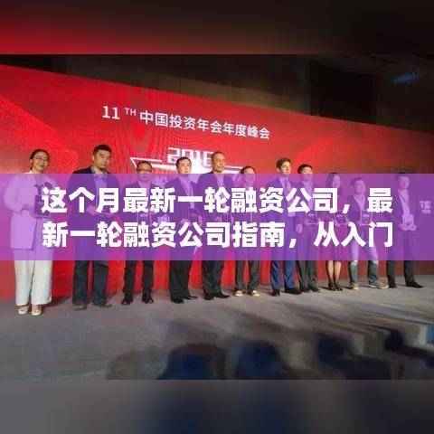 最新一轮融资公司详解,从入门到精通的融资指南