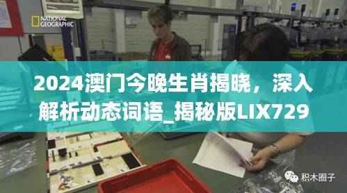 2024澳门今晚生肖揭晓,深入解析动态词语_揭秘版LIX729.86