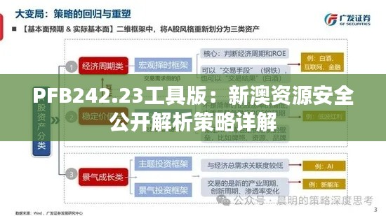 PFB242.23工具版：新澳资源安全公开解析策略详解
