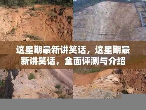 本周热门笑话大放送,全面评测与详细介绍