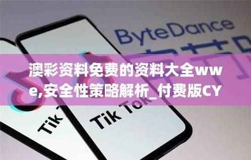 澳彩资料免费的资料大全wwe,安全性策略解析_付费版CYI916.37