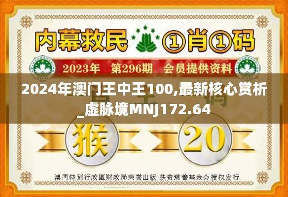 2024年澳门王中王100,最新核心赏析_虚脉境MNJ172.64
