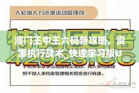 澳门王中王六码新攻略，资源执行战术_快速学习版UNM80.66