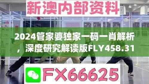 2024管家婆独家一码一肖解析,深度研究解读版FLY458.31