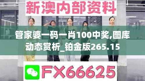 管家婆一码一肖100中奖,图库动态赏析_铂金版265.15