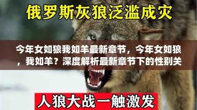 今年女如狼我如羊,最新章节下的性别关系深度解析
