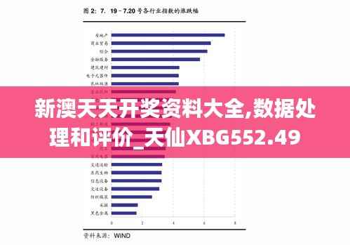 新澳天天开奖资料大全,数据处理和评价_天仙XBG552.49