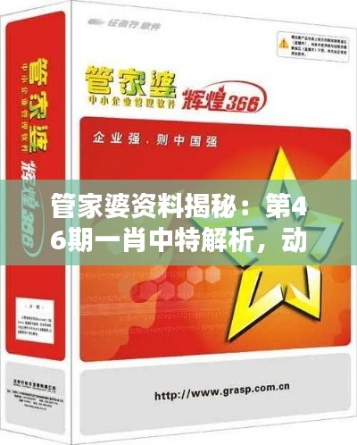 管家婆资料揭秘:第46期一肖中特解析,动画版安全策略解析