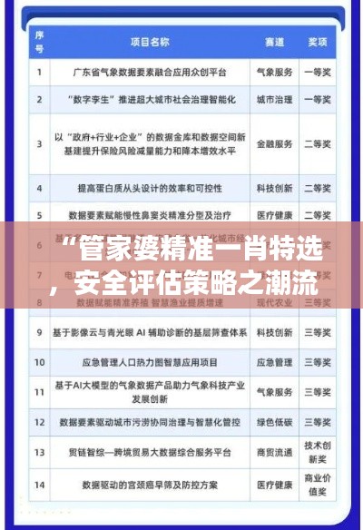 “管家婆精准一肖特选,安全评估策略之潮流GPZ436.75版”