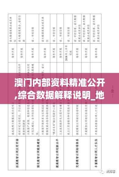 澳门内部资料精准公开,综合数据解释说明_地极境BEK873.54