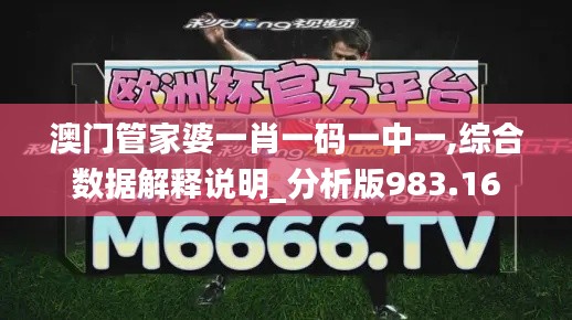 澳门管家婆一肖一码一中一,综合数据解释说明_分析版983.16