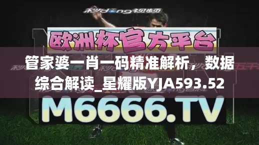 管家婆一肖一码精准解析,数据综合解读_星耀版YJA593.52