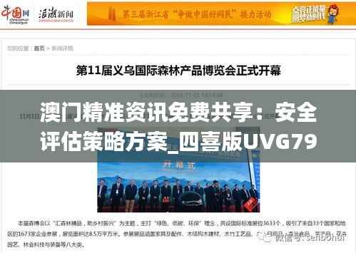 澳门精准资讯免费共享：安全评估策略方案_四喜版UVG793.41