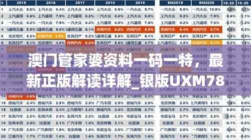 澳门管家婆资料一码一特，最新正版解读详解_银版UXM788.13