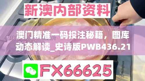 澳门精准一码投注秘籍,图库动态解读_史诗版PWB436.21