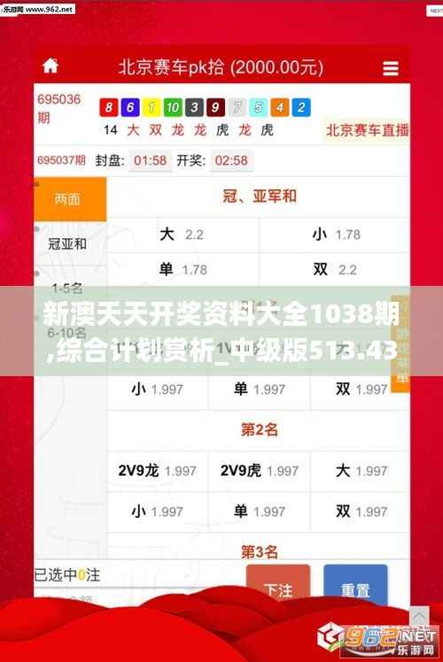 新澳天天开奖资料大全1038期,综合计划赏析_中级版513.43