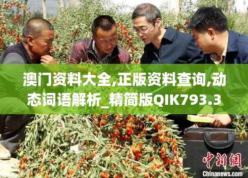 澳门资料大全,正版资料查询,动态词语解析_精简版QIK793.33