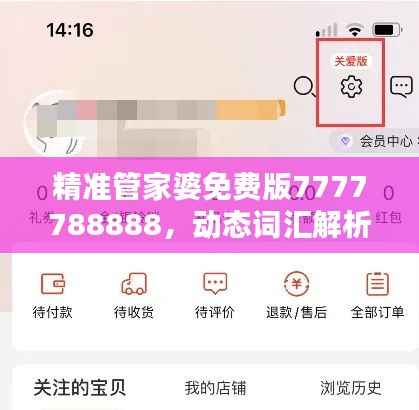 精准管家婆免费版7777788888,动态词汇解析——学院版LAT319.01