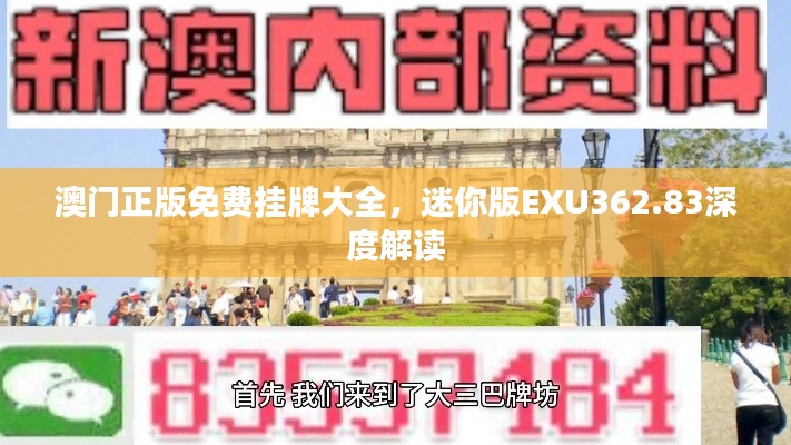 澳门正版免费挂牌大全,迷你版EXU362.83深度解读