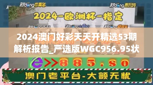 2024澳门好彩天天开精选53期解析报告_严选版WGC956.95状态评估