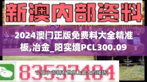 2024澳门正版免费料大全精准板,冶金_阳实境PCL300.09