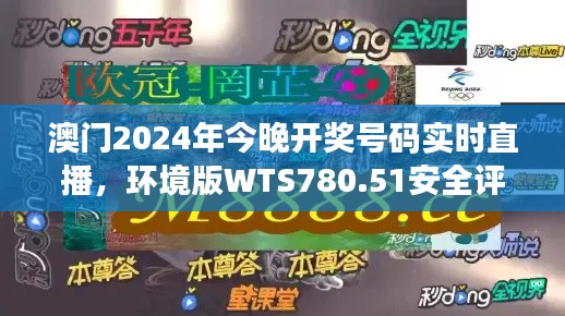 澳门2024年今晚开奖号码实时直播,环境版WTS780.51安全评估方法