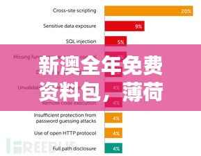 新澳全年免费资料包，薄荷版TVS838.02安全评估方案