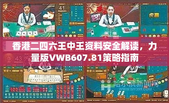 香港二四六王中王资料安全解读,力量版VWB607.81策略指南