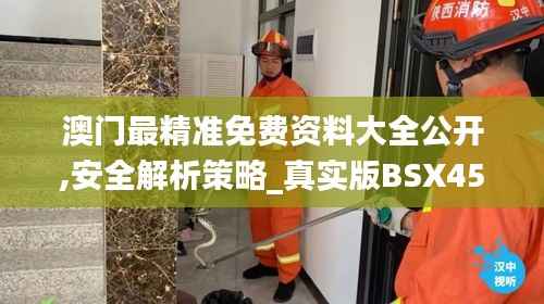 澳门最精准免费资料大全公开,安全解析策略_真实版BSX451.92