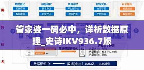 管家婆一码必中,详析数据原理_史诗IKV936.7版
