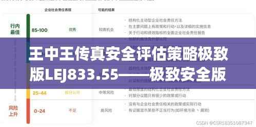 王中王传真安全评估策略极致版LEJ833.55——极致安全版评估策略揭秘