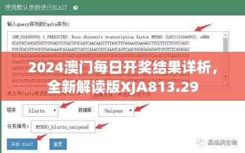 2024澳门每日开奖结果详析，全新解读版XJA813.29