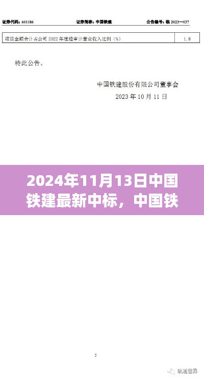 中国铁建最新中标项目参与指南,从入门到精通(2024年11月版)