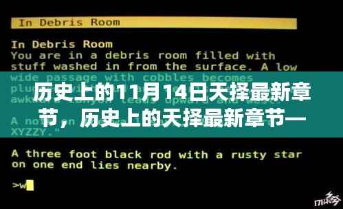 揭秘十一月十四日历史上的神秘面纱，天择最新章节揭晓