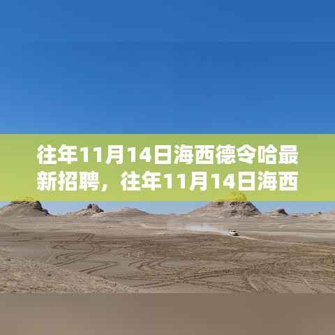 往年11月14日海西德令哈人才招聘盛况及最新招聘信息汇总回顾