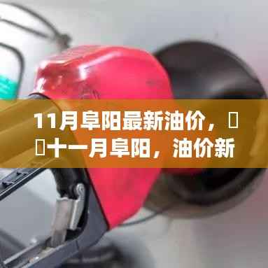 11月阜阳油价调整,启程自然美景之旅,探寻内心平静的力量
