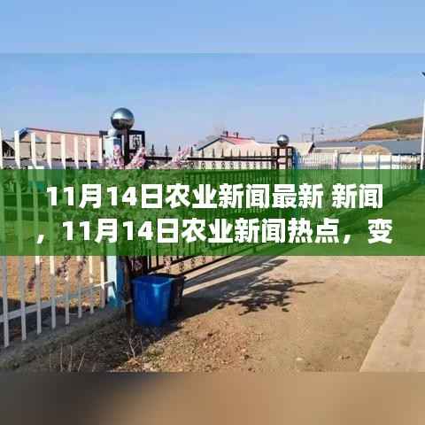 11月14日农业新闻热点，变革的田野上，学习带来的自信与成就感
