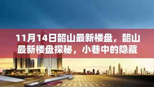 独家揭秘,韶山最新楼盘探秘——小巷中的隐藏瑰宝(11月14日最新)