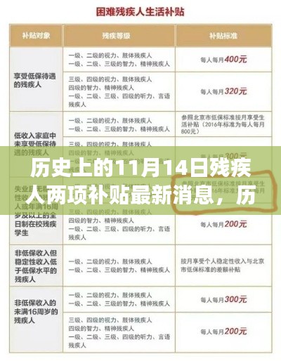 历史上的11月14日,残疾人两项补贴的最新进展及其深远影响