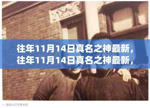 往年11月14日真名之神最新,观点碰撞与探讨的盛会