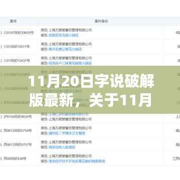 11月20日字说破解版法律边界与技术探讨,软件破解行为的深度解析与最新动态