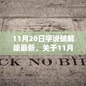 11月20日字说破解版法律边界与技术探讨,软件破解行为的深度解析与最新动态