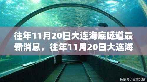 大连海底隧道建设进展深度解析,最新消息与进展报告(往年11月20日)